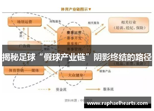 揭秘足球“假球产业链”阴影终结的路径