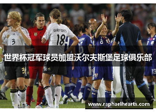 世界杯冠军球员加盟沃尔夫斯堡足球俱乐部