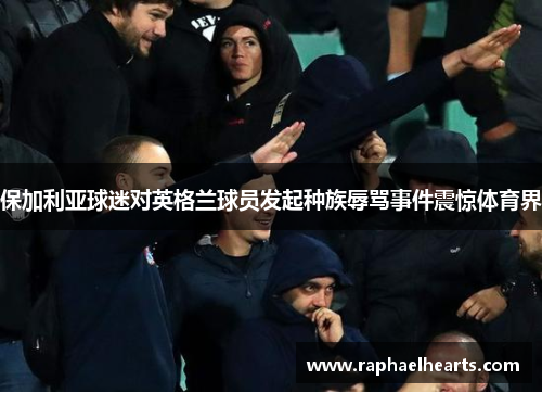 保加利亚球迷对英格兰球员发起种族辱骂事件震惊体育界