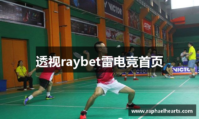 透视raybet雷电竞首页
